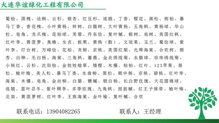 綠化樹苗種類1.jpg 綠化樹苗種類1.jpg